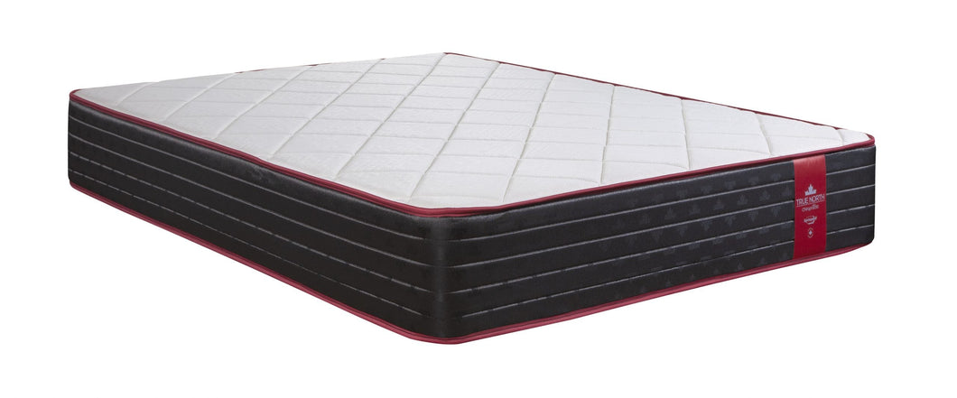 True North Chiropractic Champlain Full / Double Size Mattress by Springwall
