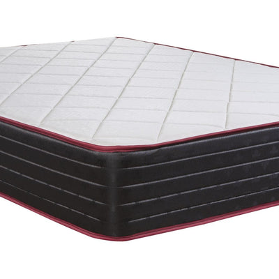 True North Chiropractic Montebello in Double Size Mattress by Springwall