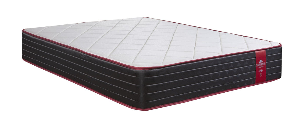 True North Chiropractic Montebello in Double Size Mattress by Springwall