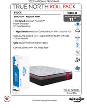 Load image into Gallery viewer, True North Chiropractic Bruce Queen Size Euro-Pillow Top mattress
